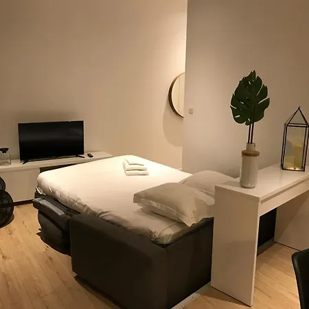 Le Patio Des Carmes Appartement *
